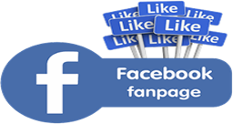 facebook fan